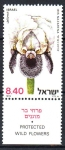 Sellos de Asia - Israel -  PROTECCIÓN  DE  FLORES  SILVESTRES.  IRIS  NAZARENA.