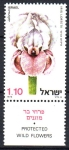 Stamps Israel -  PROTECCIÓN  DE  FLORES  SILVESTRES.  IRIS  LORTETII.
