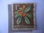 Stamps New Zealand -  Karaka (Corynocarpus)