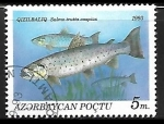 Stamps : Asia : Azerbaijan :  Caspian Trout