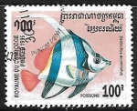 Sellos de Asia - Camboya -  Pennat Coralfish 