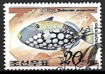 Sellos de Asia - Corea del norte -  Clown Triggerfish