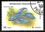 Stamps : Africa : Madagascar :  Siamese Fighting Fish