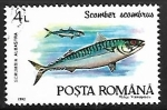 Stamps : Europe : Romania :  Atlantic Mackerel