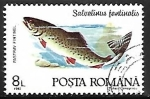 Stamps Romania -  Brook Trout