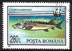 Stamps Romania -  Waxdick 