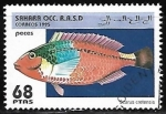 Stamps Morocco -  Peces