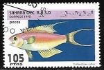 Stamps Morocco -  Peces