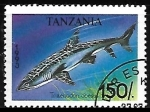 Sellos de Africa - Tanzania -  Whitetip Reef Shark