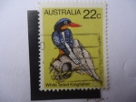 Stamps Australia -  Martín Pescador de Cola Blanca (Tanysiptera sylvia)