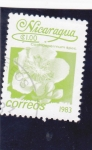 Sellos de America - Nicaragua -  FLORES-