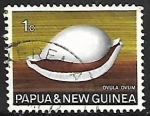 Stamps Oceania - Papua New Guinea -  Common Egg Cowry 