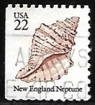Sellos de America - Estados Unidos -  New England Neptune