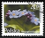 Stamps : Europe : Poland :  Myosotis arvensis