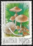 Sellos del Mundo : Europa : Hungr�a : Marasmius oreades