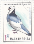 Stamps : Europe : Hungary :  AVE-PALOMA