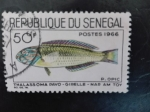 Stamps : Africa : Senegal :  Pez