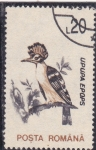 Stamps : Europe : Romania :  AVE-UPUPA