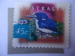 Sellos de Oceania - Australia -  Little Kingfisher (Ceyx Pusilla)