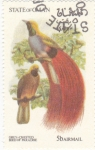 Stamps Oman -  AVES DEL PARAISO