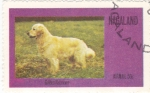 Stamps Nagaland -  Perro de raza- golden retriever