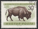 Stamps Hungary -  1414 - Jardín zoológico de Budapest, bisonte