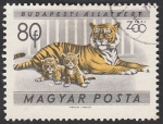 Stamps Hungary -  1417 - Jardín zoológico de Budapest, tigres