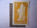 Sellos de Europa - Bulgaria -  Maíz - Producto Agrícola.