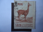 Stamps Peru -  Vicuña.S.P.Peruana.Símbolo en el Escudo Nacional y Productora de la Lana más fina. (Sello:1966)