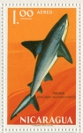 Stamps Nicaragua -  Tiburón nicaragüense