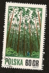 Stamps Poland -  El bosque de Bialowieza - Parque Nacional