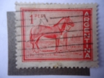 Stamps Argentina -  Caballo Criollo (Equus ferus caballus)