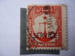 Stamps Pakistan -  Balance . Escala