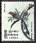 Sellos de Asia - Sri Lanka -  Ceylon Blue Magpie 