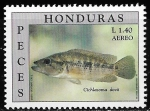 Sellos de America - Honduras -  Peces. Cichlasoma dovii