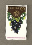 Stamps Poland -  Grosellas