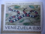 Stamps Venezuela -  Serpiente Coral (Micrurus dumerili carinicaudus) 