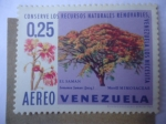 Stamps Venezuela -  El Saman (Samanea Saman) Merrill Mimosaceae - Conserve los Recursos Naturales Renovables.