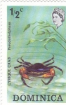 Stamps Dominica -  CANGREJO