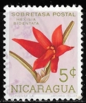 Stamps Nicaragua -  Nicaragua-cambio