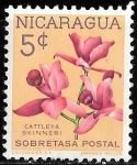 Stamps : America : Nicaragua :  Nicaragua-cambio