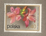 Sellos de Europa - Polonia -  Rododendro