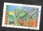 Stamps : Europe : Bulgaria :  3476 A - Insecto, saltamontes