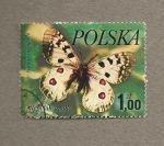 Sellos del Mundo : Europa : Polonia : Mariposa Parnassius apollo