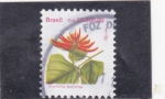 Stamps Brazil -  FLORES- ERYTHINA SPECIOSA