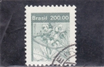 Stamps : America : Brazil :  FLORES- MAMONA 
