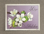 Stamps Poland -  Flores de Pyrus