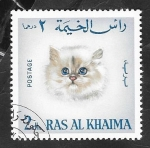 Stamps United Arab Emirates -  Ras Al Khaima - 35 - Gato