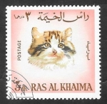 Stamps United Arab Emirates -  Ras Al Khaima - 35 - Gato