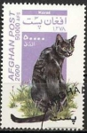 Stamps Afghanistan -  Gatos